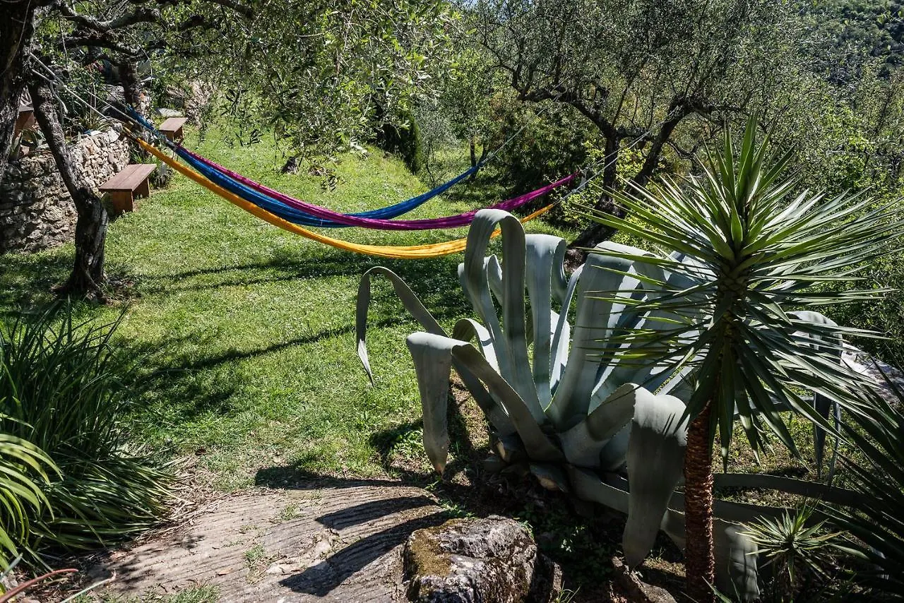 Alojamento de Acomodação e Pequeno-almoço La Fattoria Di Nonna Eugenia Acomodação com café da manhã Lerici Itália