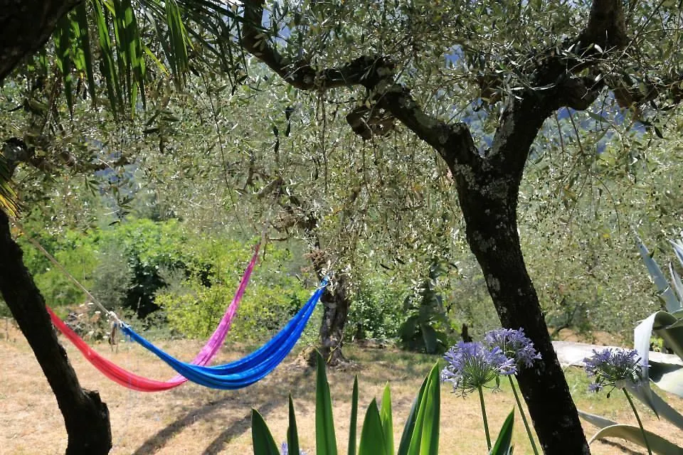La Fattoria Di Nonna Eugenia Acomodação com café da manhã Lerici 0*,  Itália
